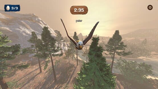 Screenshot Bird Brigade
