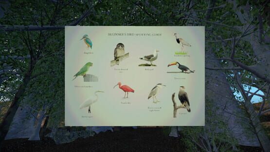 Screenshot Birdwatching