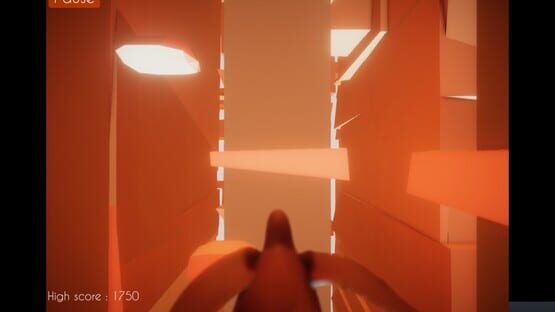Screenshot Blind Bird