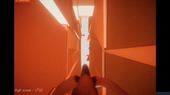 Screenshot Blind Bird