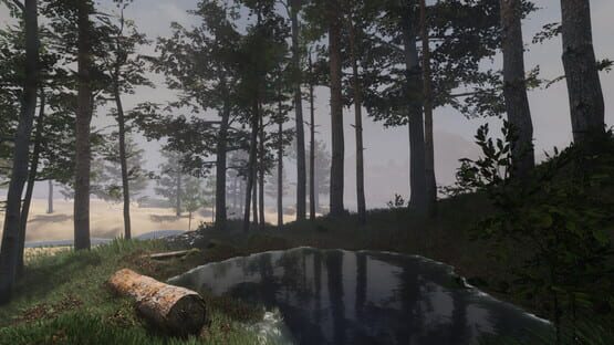 Screenshot Broken