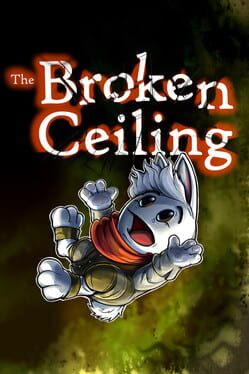 Cover Broken Ceiling