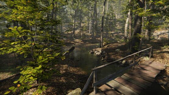 Screenshot Camping Vlog Simulator 2024