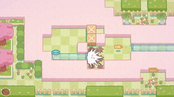 Screenshot Cat Squeeze