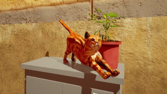 Screenshot Catniptic