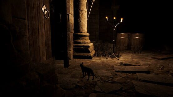 Screenshot Catsploration