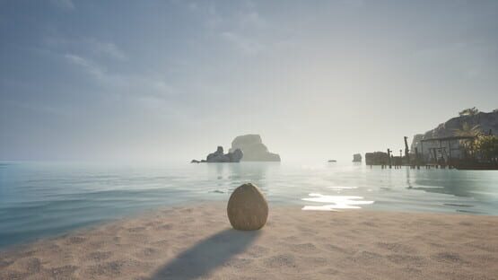 Screenshot Coconut Simulator