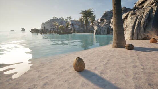Screenshot Coconut Simulator