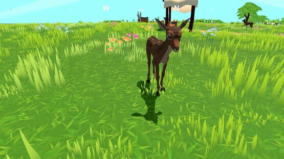 Screenshot Cryptid Kitchen