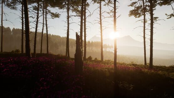 Screenshot Dead District: Survival