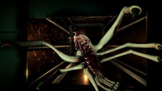 Screenshot Descent of Man