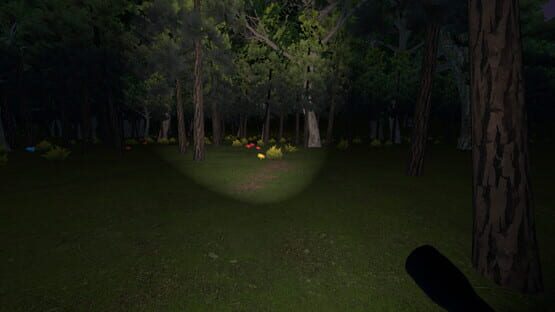 Screenshot Disappeared