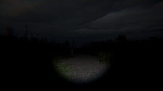 Screenshot Disquiet Fields