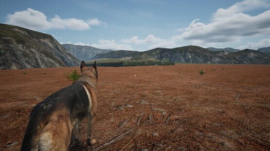 Screenshot Dog Fox Bunny