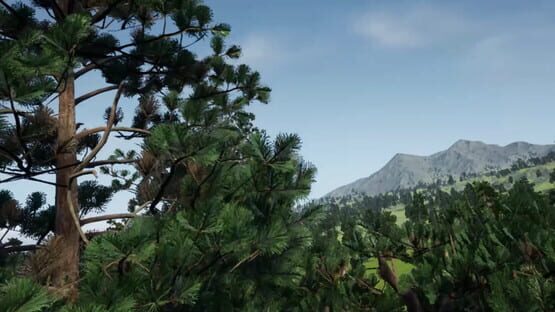 Screenshot DreamFly