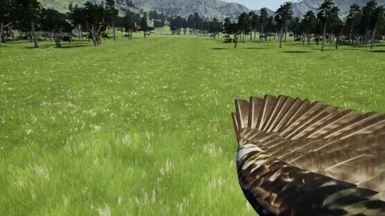 Screenshot DreamFly