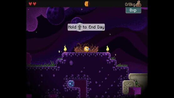 Screenshot Drill Bird