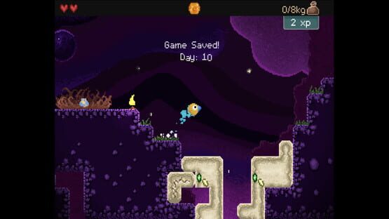 Screenshot Drill Bird
