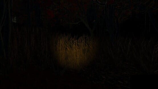 Screenshot Echoes of the Wind