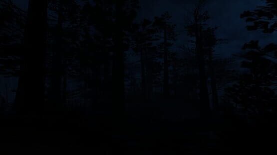 Screenshot Fear of Nightmares: Madness Descent