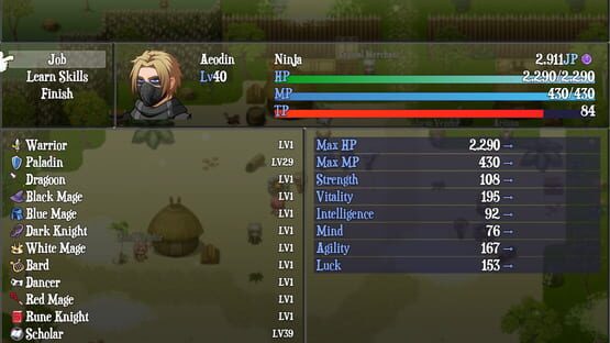 Screenshot Final Fantasy XI Braver