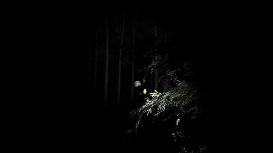Screenshot Final Night
