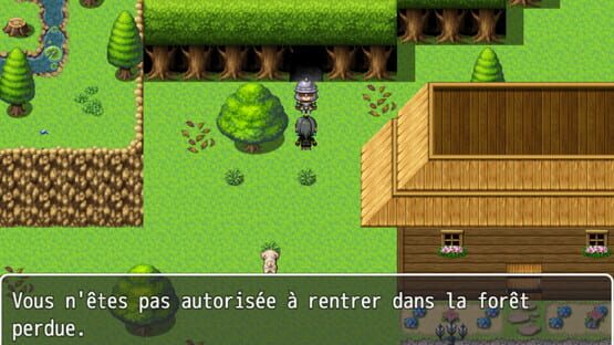 Screenshot FinalAdventure