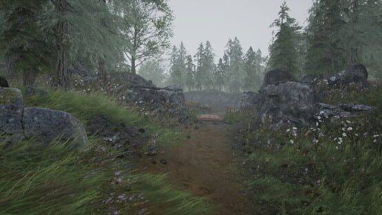 Screenshot Fira