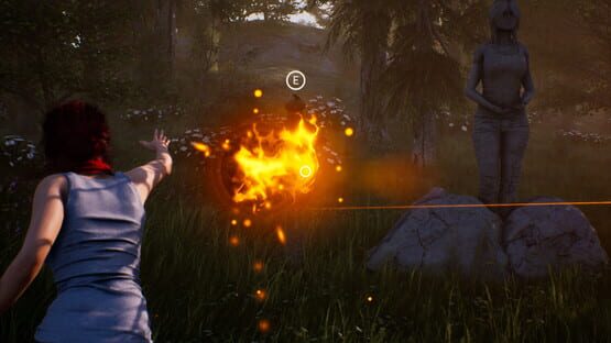 Screenshot Fira