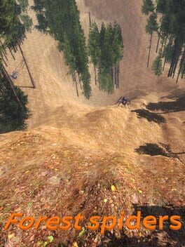 Cover Forest spiders
