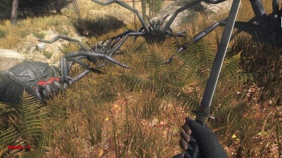 Screenshot Forest spiders