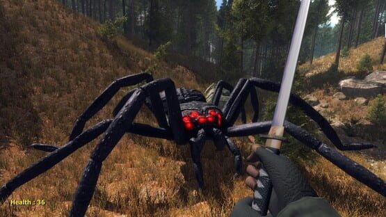 Screenshot Forest spiders