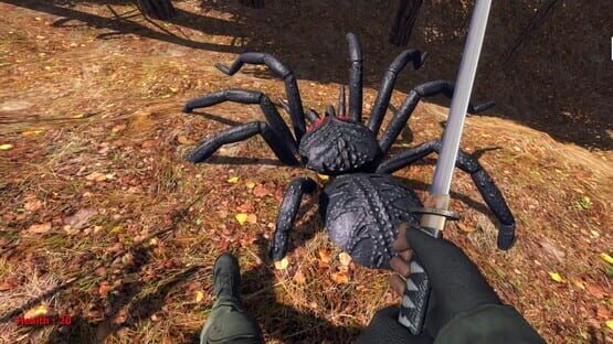 Screenshot Forest spiders