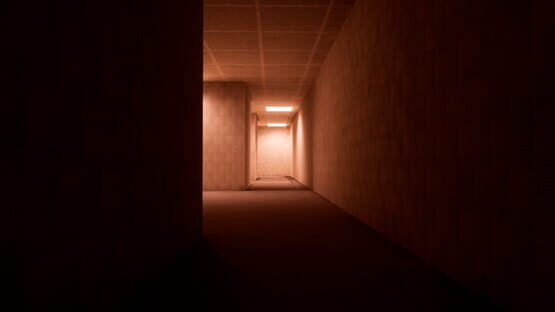 Screenshot Furry Backrooms