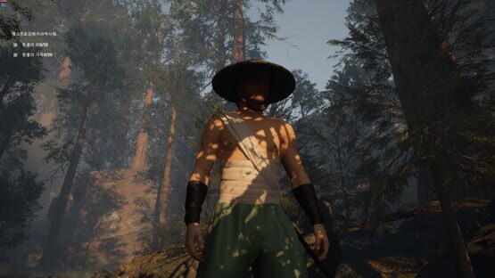 Screenshot Gaya: The Mystery