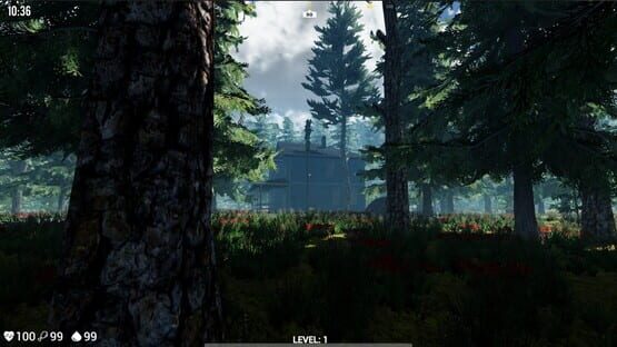 Screenshot Gone: Survival