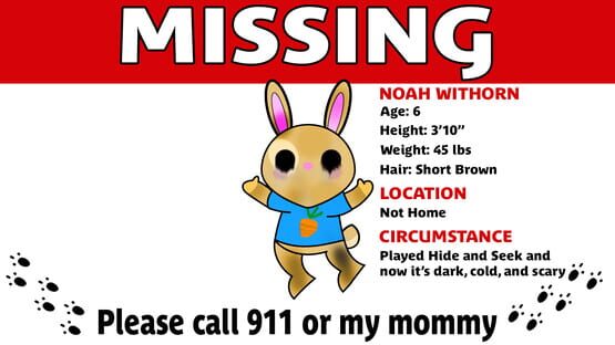 Screenshot Hide and Seek with Noah