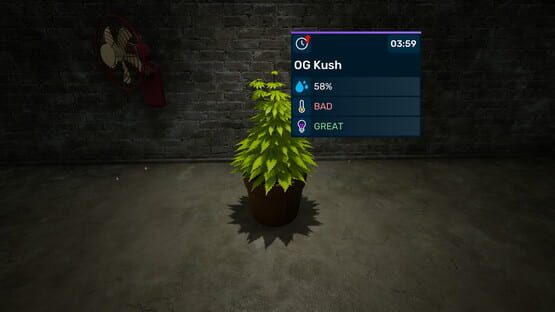 Screenshot Illegal Plantation