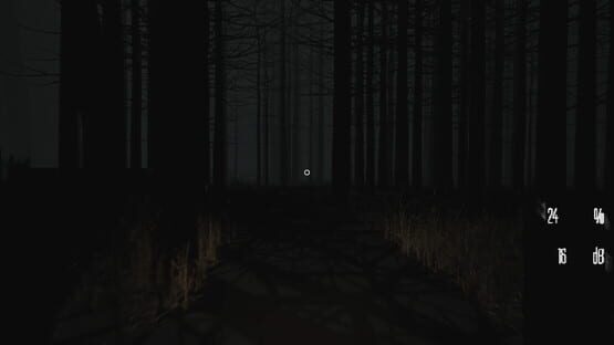 Screenshot In The Dark