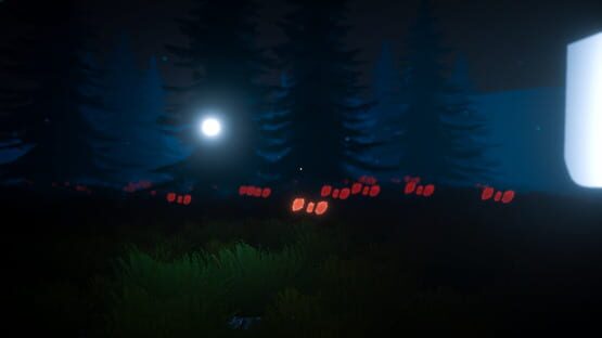 Screenshot In the World Unknown