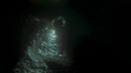 Screenshot Iron Fish