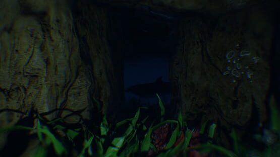 Screenshot Iruka Iru Ka