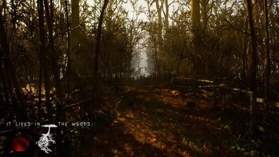 Screenshot It Lives in the Woods