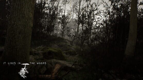 Screenshot It Lives in the Woods