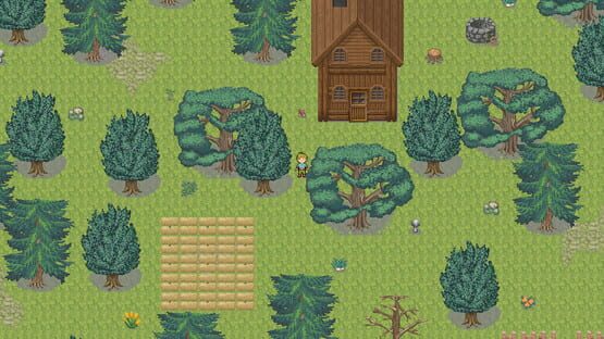 Screenshot Light Paradox