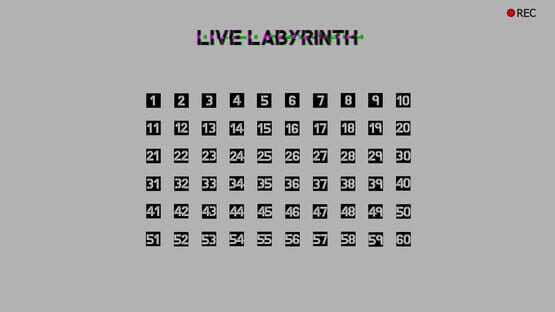 Screenshot Live Labyrinth