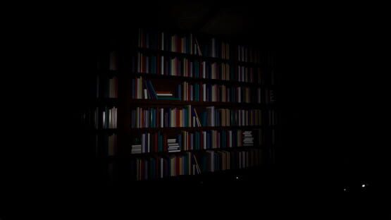 Screenshot Looking for Something