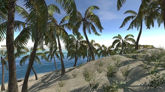 Screenshot Lost in Nature