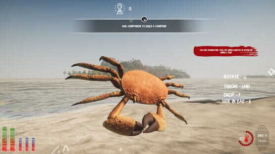 Screenshot Lost in Tropics