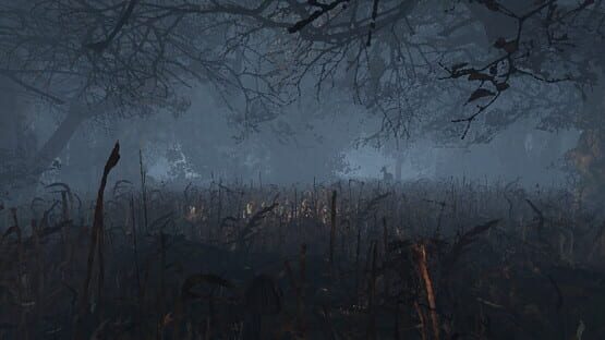 Screenshot Maze to the old castle